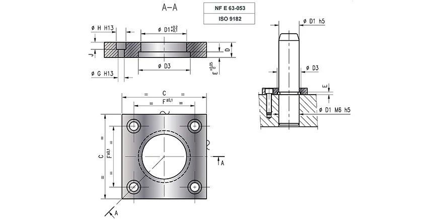 231-DSH-M-10