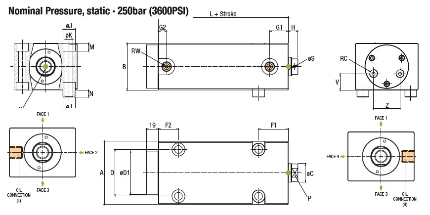 259-SS.DSS-M-24