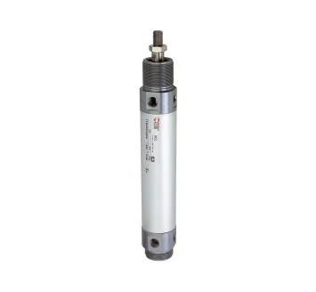 2.DM.50250