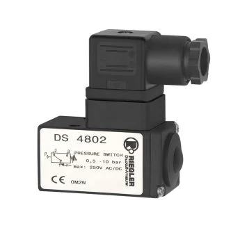 DS 4802