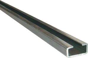 TS1